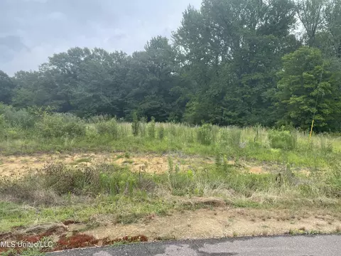 3394 Sherri Cv, Hernando, MS 38632 photo 1