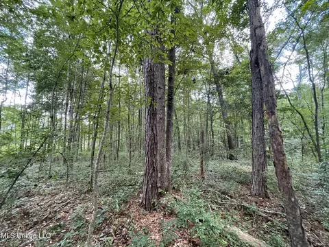 Eastside Drive, Newton, MS 39345 photo 16