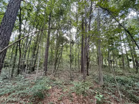 Eastside Drive, Newton, MS 39345 photo 17