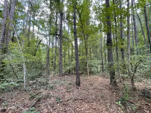 Eastside Drive, Newton, MS 39345 photo 20