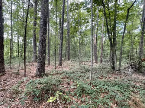 Eastside Drive, Newton, MS 39345 photo 2