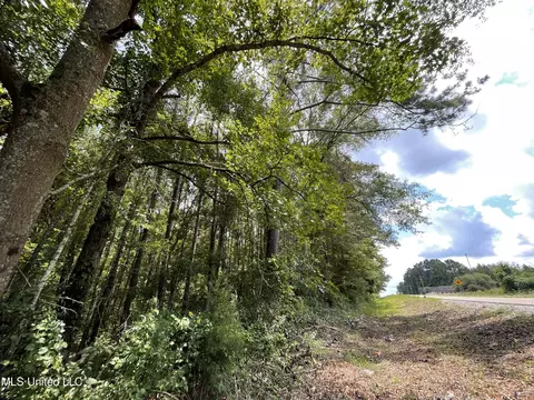Eastside Drive, Newton, MS 39345 photo 25