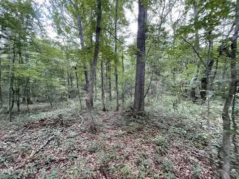Eastside Drive, Newton, MS 39345 photo 6
