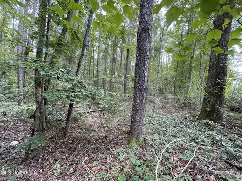 Eastside Drive, Newton, MS 39345 photo 19