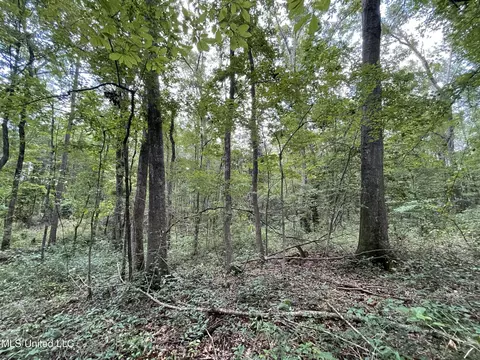 Eastside Drive, Newton, MS 39345 photo 15