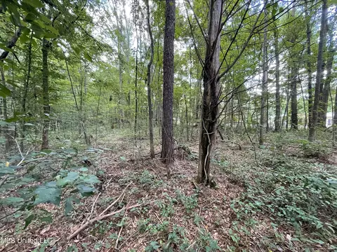 Eastside Drive, Newton, MS 39345 photo 3