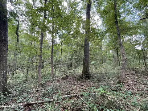 Eastside Drive, Newton, MS 39345 photo 7