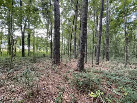 Eastside Drive, Newton, MS 39345