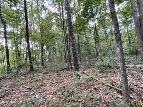 Eastside Drive, Newton, MS 39345 photo 4