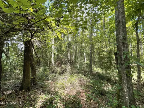 Eastside Drive, Newton, MS 39345 photo 23