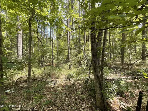 Eastside Drive, Newton, MS 39345 photo 24