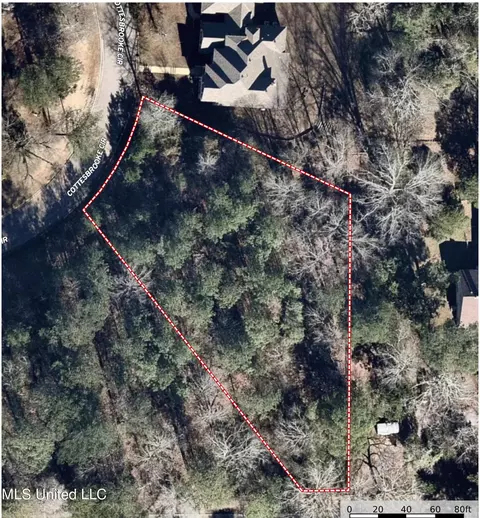 Cottesbrooke Circle, Madison, MS 39110