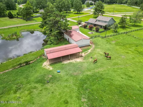 143 Lakeview Rd, Brandon, MS 39047 photo 12