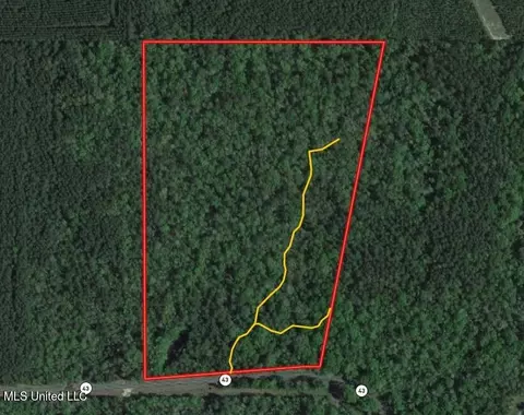 Hwy 43, Oak Vale, MS 39656