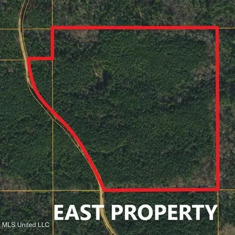 Green Door Rd, Eupora, MS 39744 photo 3