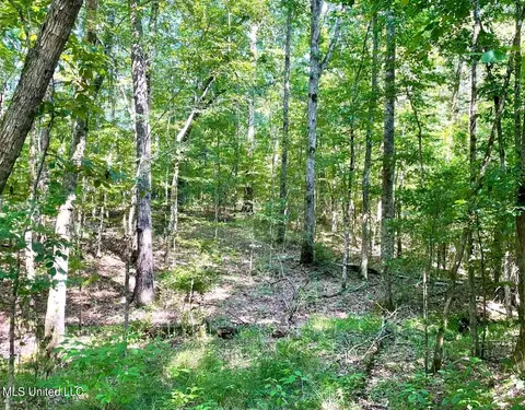Green Door Rd, Eupora, MS 39744 photo 2