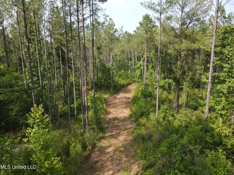 Green Door Rd, Eupora, MS 39744 photo 8