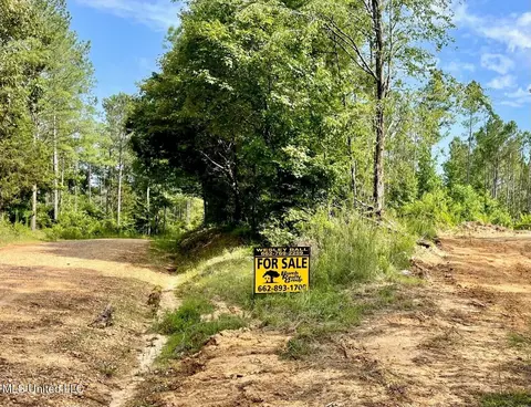 Green Door Rd, Eupora, MS 39744 photo 5