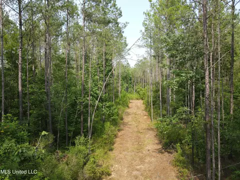 Green Door Rd, Eupora, MS 39744 photo 9