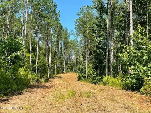 Green Door Rd, Eupora, MS 39744 photo 4