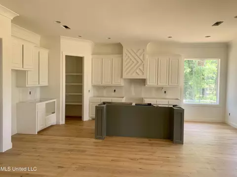 111 Charleston Ln, Madison, MS 39110