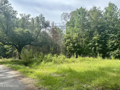 Mitchell Chapel Rd, Poplarville, MS 39470