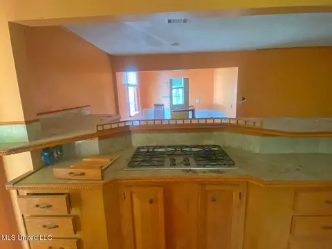 1626 Pleasant Ridge Rd, Forest, MS 39074 photo 8