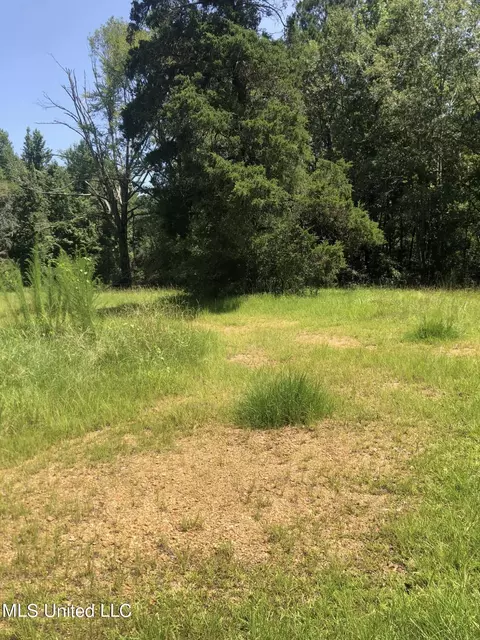 1170 Old Hwy 27 Loop, Crystal Springs, MS 39059