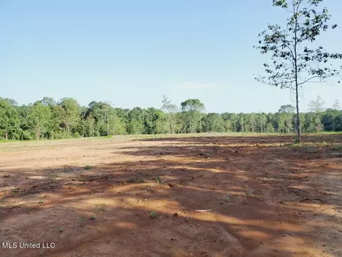 No SW Auburn Drive, Bogue Chitto, MS 39629