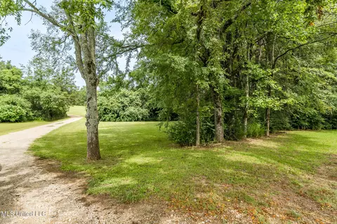 5007 Ms-305, Coldwater, MS 38618 photo 36