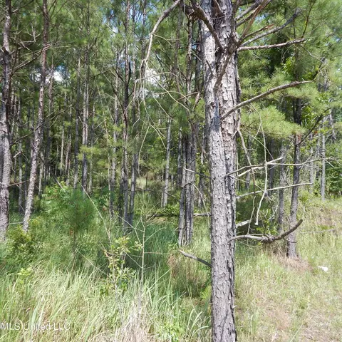 Central Firetower Road, Lucedale, MS 39452 photo 3