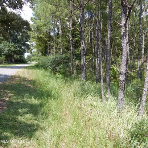 Central Firetower Road, Lucedale, MS 39452 photo 2
