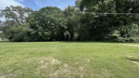 E Holly Springs Road, Hernando, MS 38632 photo 3