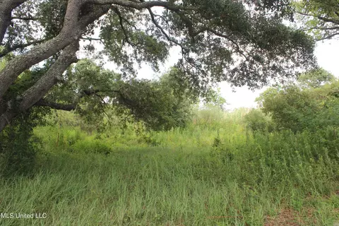 Belle Fontaine Drive, Ocean Springs, MS 39564