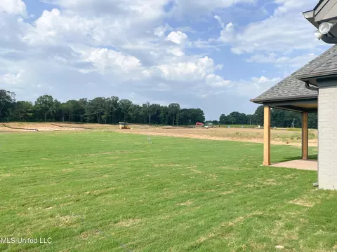 5191 Reserve Way, Hernando, MS 38632 photo 10