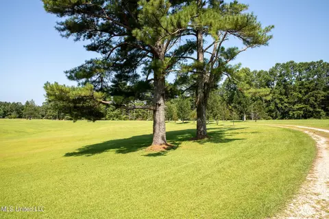 1077 Lawrence Ebenezer Rd, Lawrence, MS 39336 photo 63