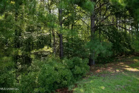 1077 Lawrence Ebenezer Rd, Lawrence, MS 39336 photo 38