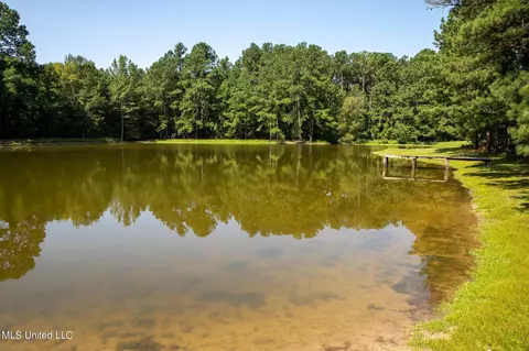 1077 Lawrence Ebenezer Rd, Lawrence, MS 39336 photo 37