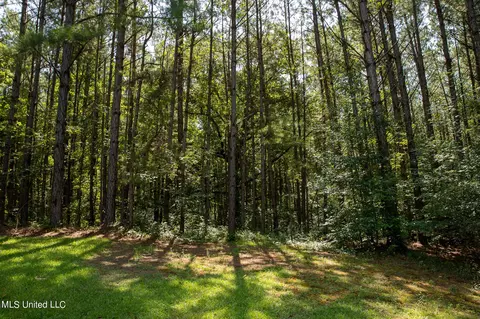 1077 Lawrence Ebenezer Rd, Lawrence, MS 39336 photo 45
