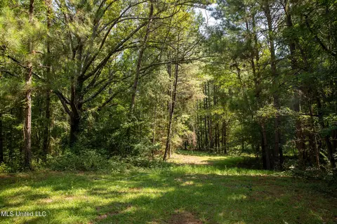 1077 Lawrence Ebenezer Rd, Lawrence, MS 39336 photo 46