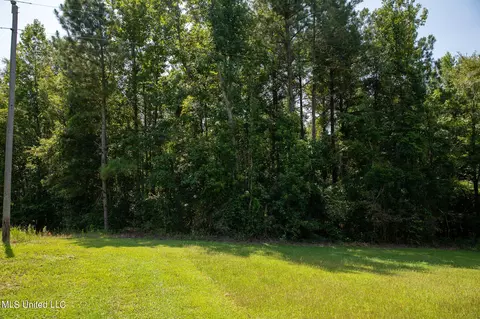 1077 Lawrence Ebenezer Rd, Lawrence, MS 39336 photo 113