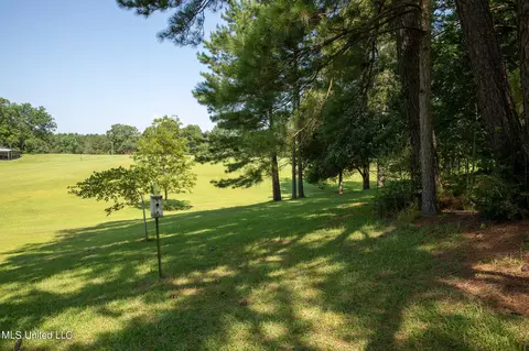 1077 Lawrence Ebenezer Rd, Lawrence, MS 39336 photo 52