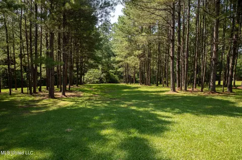 1077 Lawrence Ebenezer Rd, Lawrence, MS 39336 photo 32