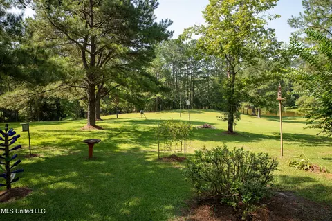 1077 Lawrence Ebenezer Rd, Lawrence, MS 39336 photo 18