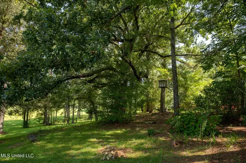 1077 Lawrence Ebenezer Rd, Lawrence, MS 39336 photo 53