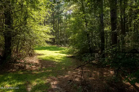 1077 Lawrence Ebenezer Rd, Lawrence, MS 39336 photo 44