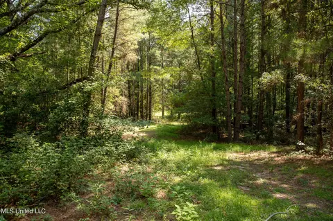 1077 Lawrence Ebenezer Rd, Lawrence, MS 39336 photo 47