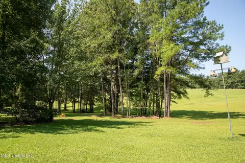 1077 Lawrence Ebenezer Rd, Lawrence, MS 39336 photo 65