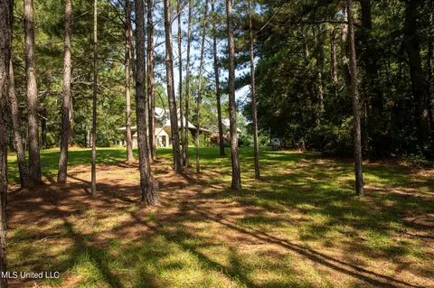 1077 Lawrence Ebenezer Rd, Lawrence, MS 39336 photo 50