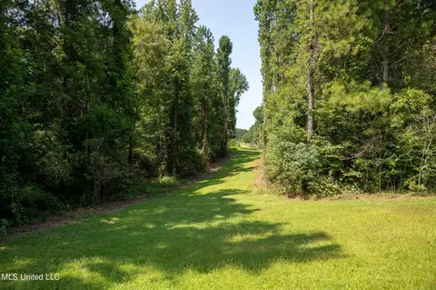 1077 Lawrence Ebenezer Rd, Lawrence, MS 39336 photo 115